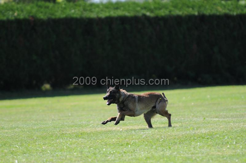 DSC_0013.JPG - CHIENPLUS.COM