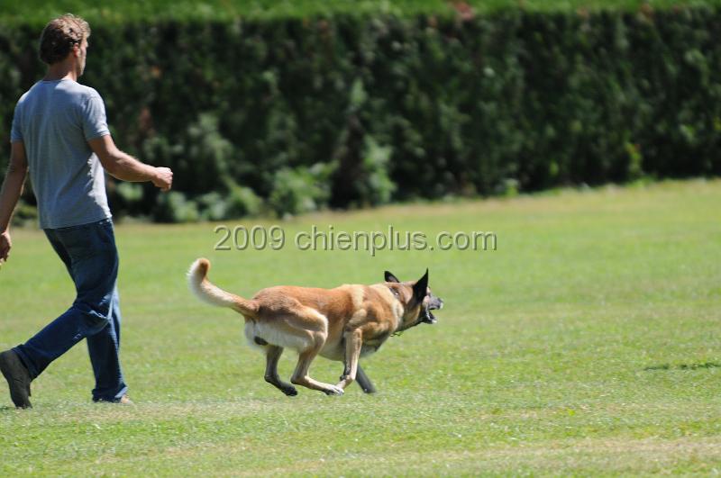 DSC_0091.JPG - CHIENPLUS.COM