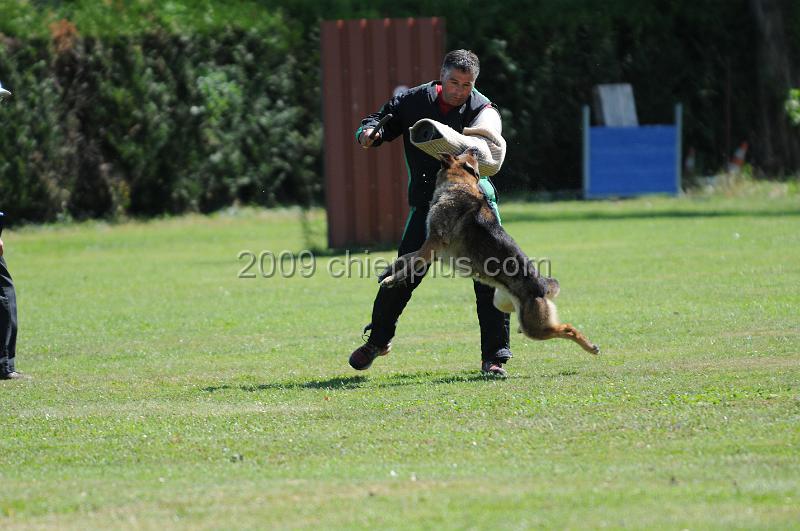 DSC_0121.JPG - CHIENPLUS.COM