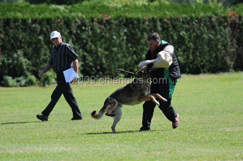 DSC_0124.JPG - CHIENPLUS.COM