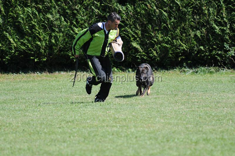 DSC_0129.JPG - CHIENPLUS.COM