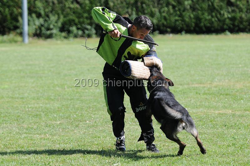 DSC_0181.JPG - CHIENPLUS.COM