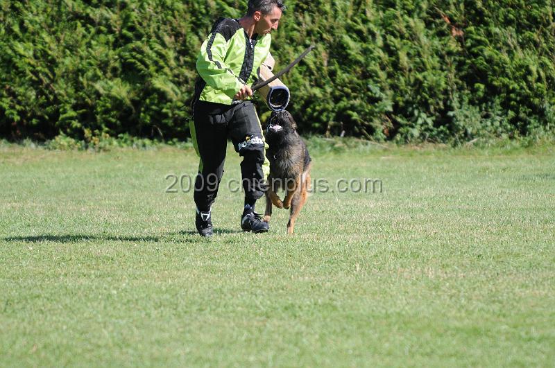 DSC_0196.JPG - CHIENPLUS.COM
