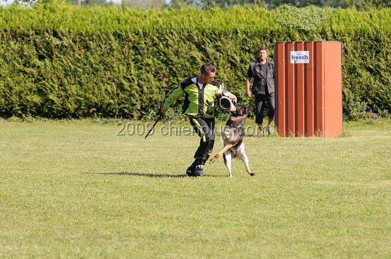 DSC_0237.JPG - CHIENPLUS.COM