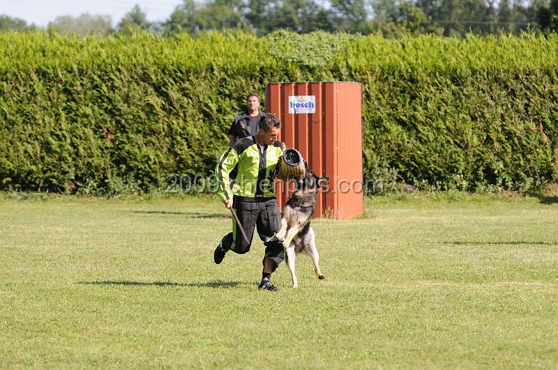 DSC_0238.JPG - CHIENPLUS.COM