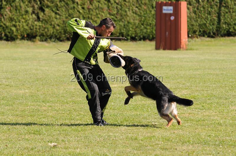 DSC_0252.JPG - CHIENPLUS.COM