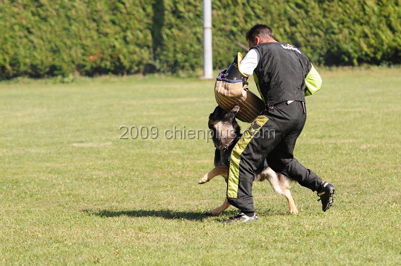 DSC_0259.JPG - CHIENPLUS.COM