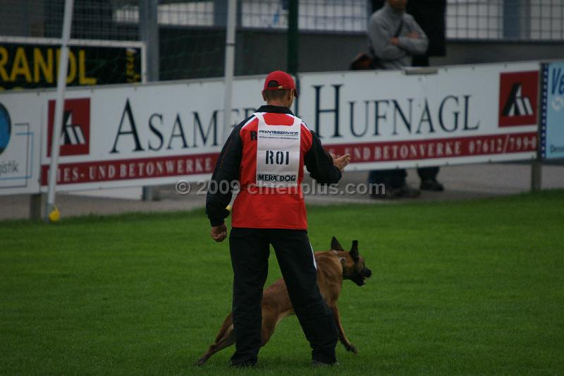 Alpi.JPG