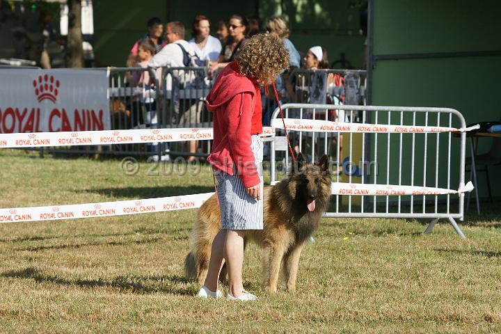 DSC00999.JPG