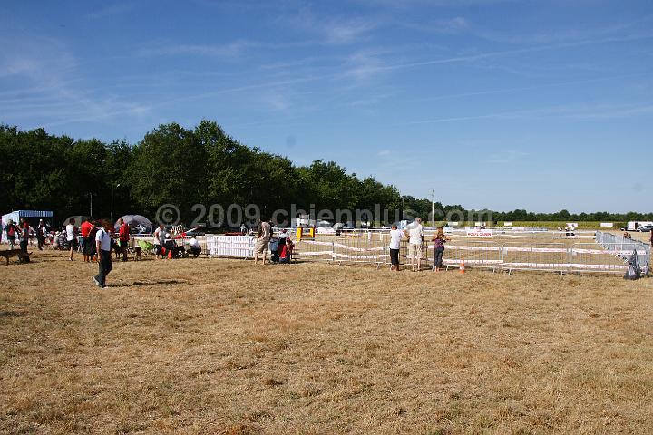 DSC09595.JPG