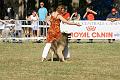 DSC01916