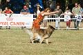 DSC01919