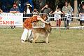 DSC01920