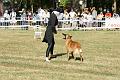 DSC02021