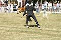 DSC02031