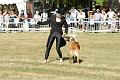 DSC02040