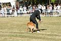 DSC02051