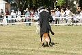 DSC02065