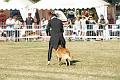 DSC02070