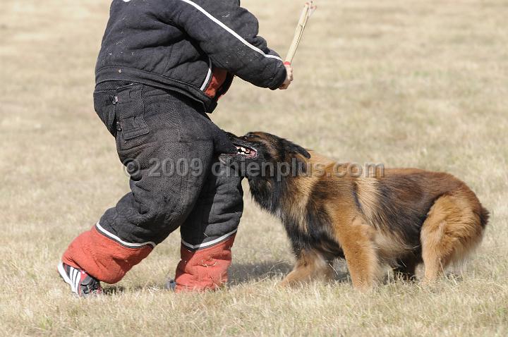 _DSC0998.JPG - CHIENPLUS.COM