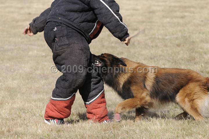 _DSC0999.JPG - CHIENPLUS.COM