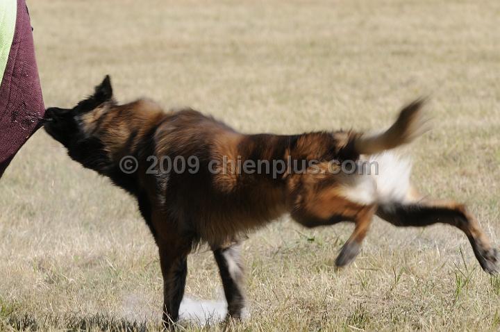 _DSC2085.JPG - CHIENPLUS.COM