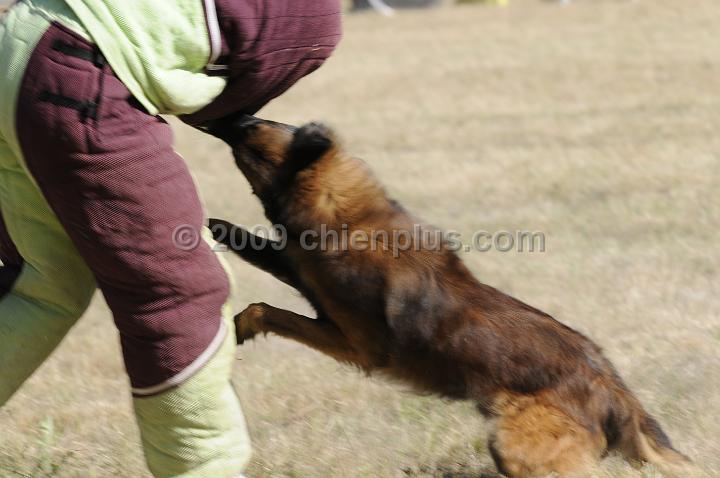 _DSC2088.JPG - CHIENPLUS.COM