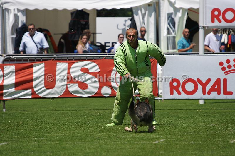 DSC06137.JPG