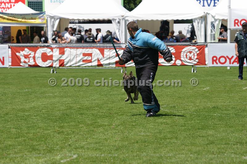 DSC06275.JPG