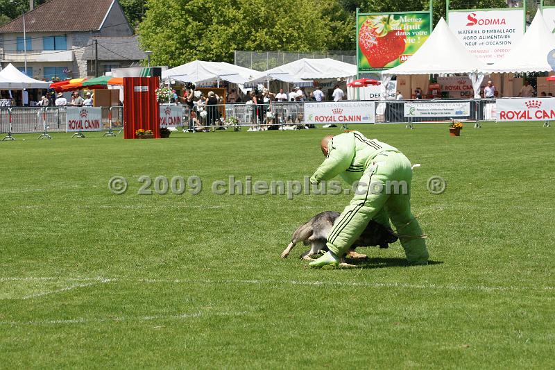 DSC06336.JPG