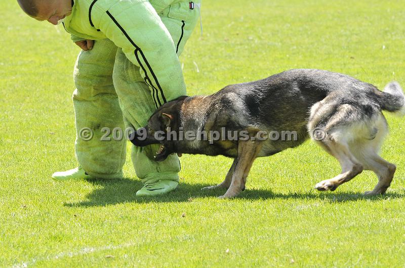 _DSC8870.JPG - CHIENPLUS.COM