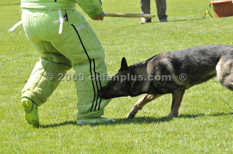 _DSC8942.JPG - CHIENPLUS.COM