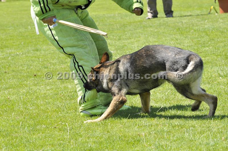 _DSC8944.JPG - CHIENPLUS.COM