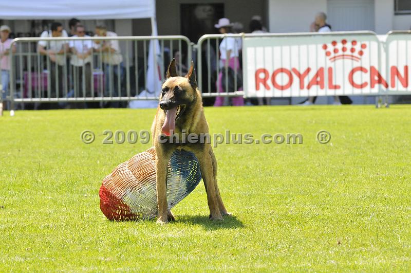 _DSC9009.JPG - CHIENPLUS.COM