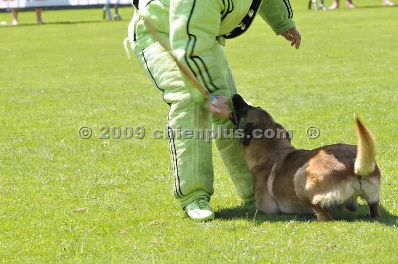 _DSC9032.JPG - CHIENPLUS.COM