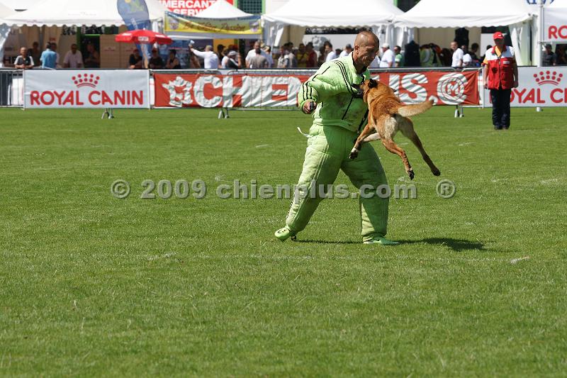 DSC06677.JPG