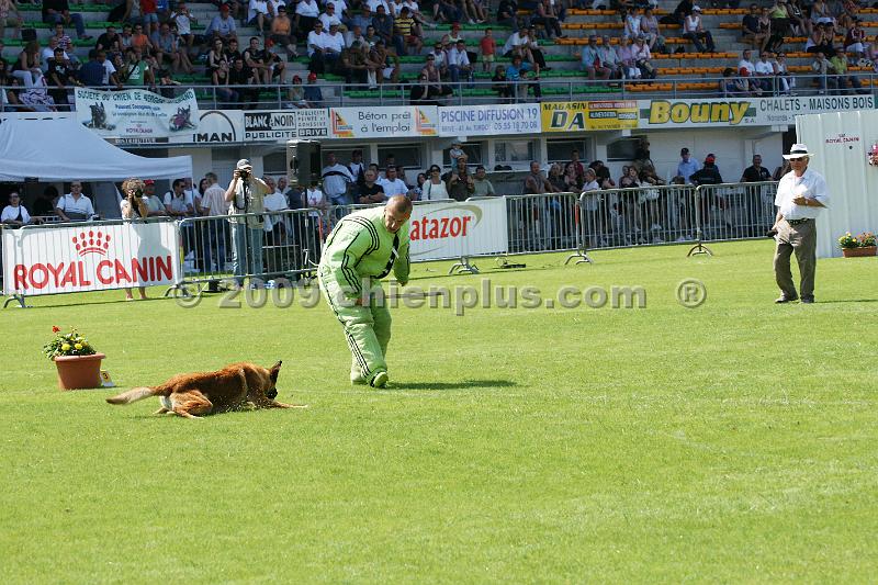 DSC06806.JPG