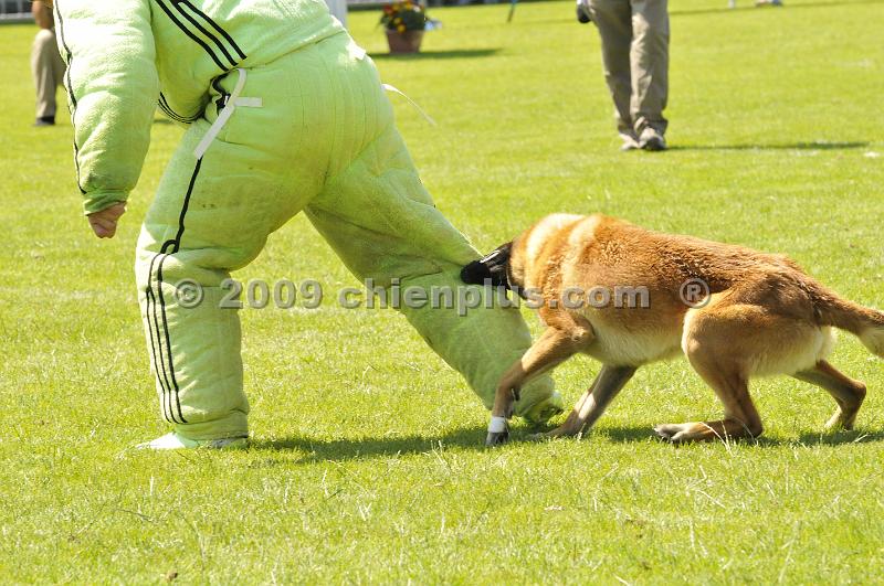 _DSC9060.JPG - CHIENPLUS.COM