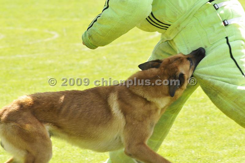_DSC9077.JPG - CHIENPLUS.COM