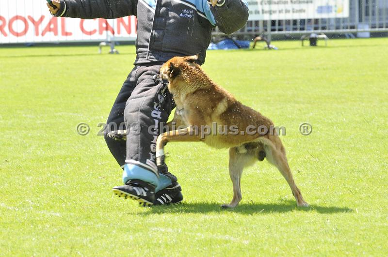 _DSC9082.JPG - CHIENPLUS.COM