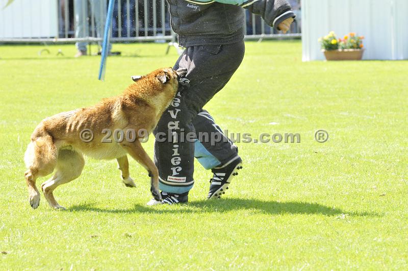 _DSC9087.JPG - CHIENPLUS.COM