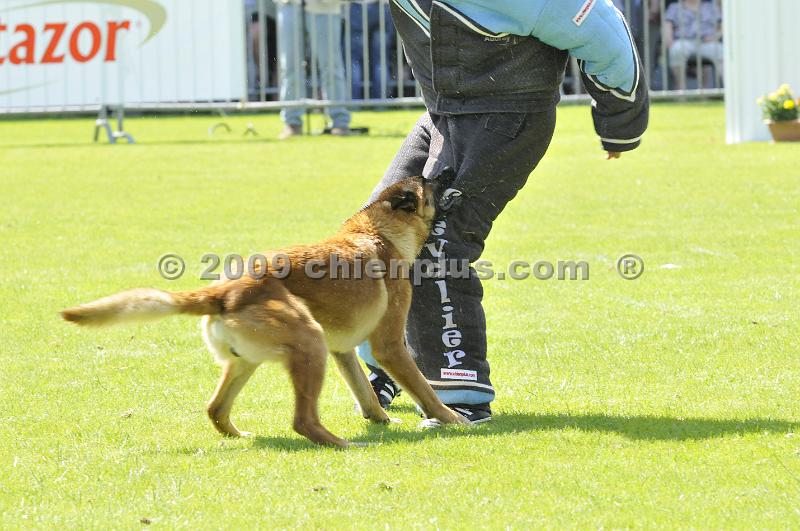 _DSC9088.JPG - CHIENPLUS.COM