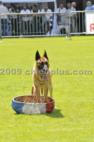 _DSC9097.JPG - CHIENPLUS.COM