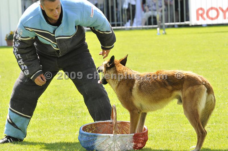 _DSC9098.JPG - CHIENPLUS.COM