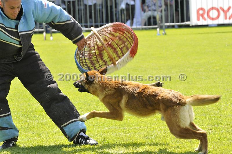_DSC9099.JPG - CHIENPLUS.COM