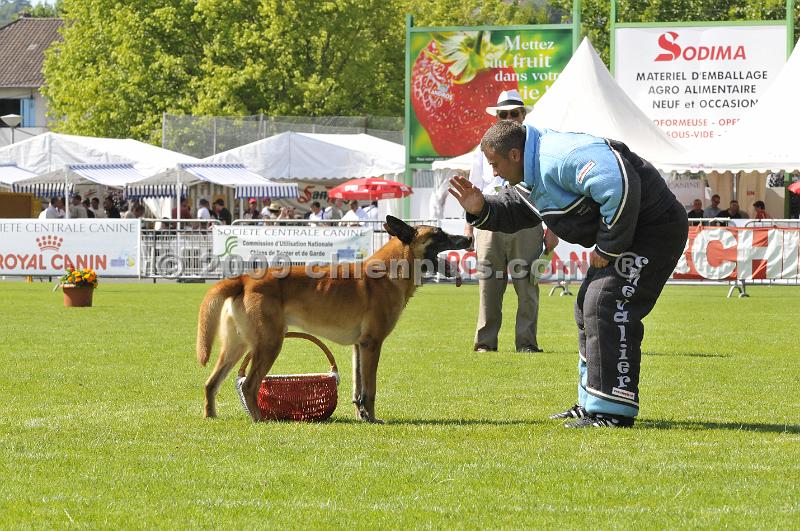 _DSC9167.JPG - CHIENPLUS.COM