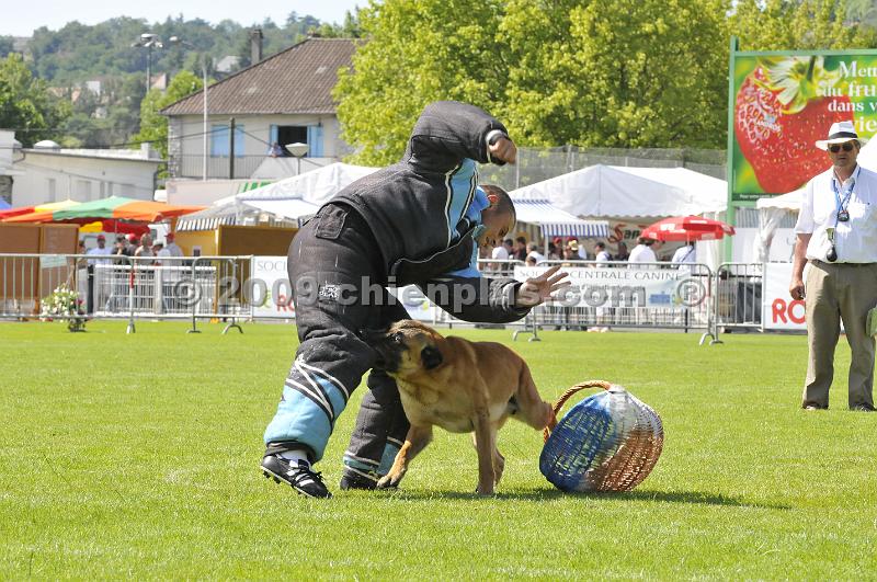 _DSC9170.JPG - CHIENPLUS.COM