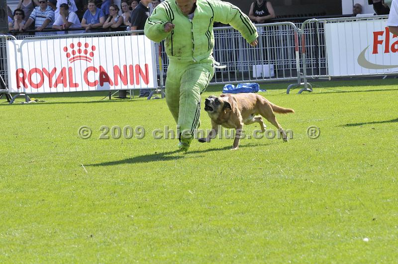 _DSC9202.JPG - CHIENPLUS.COM