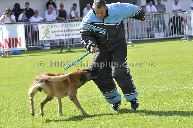 _DSC9220.JPG - CHIENPLUS.COM