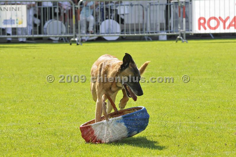 _DSC9238.JPG - CHIENPLUS.COM